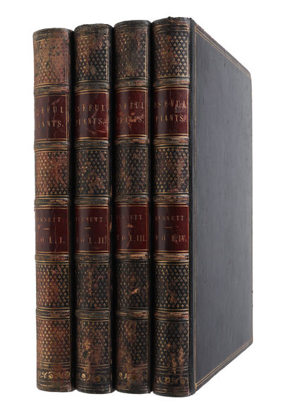 Plantæ Utiliores; or Illustration of Useful…