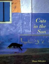 Cats in the Sun