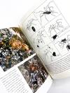 JOURNEY TO THE ANTS: A Story of Scientific Exploration