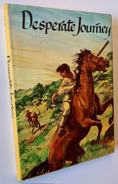 Desperate Journey