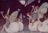 Elves and Fairies