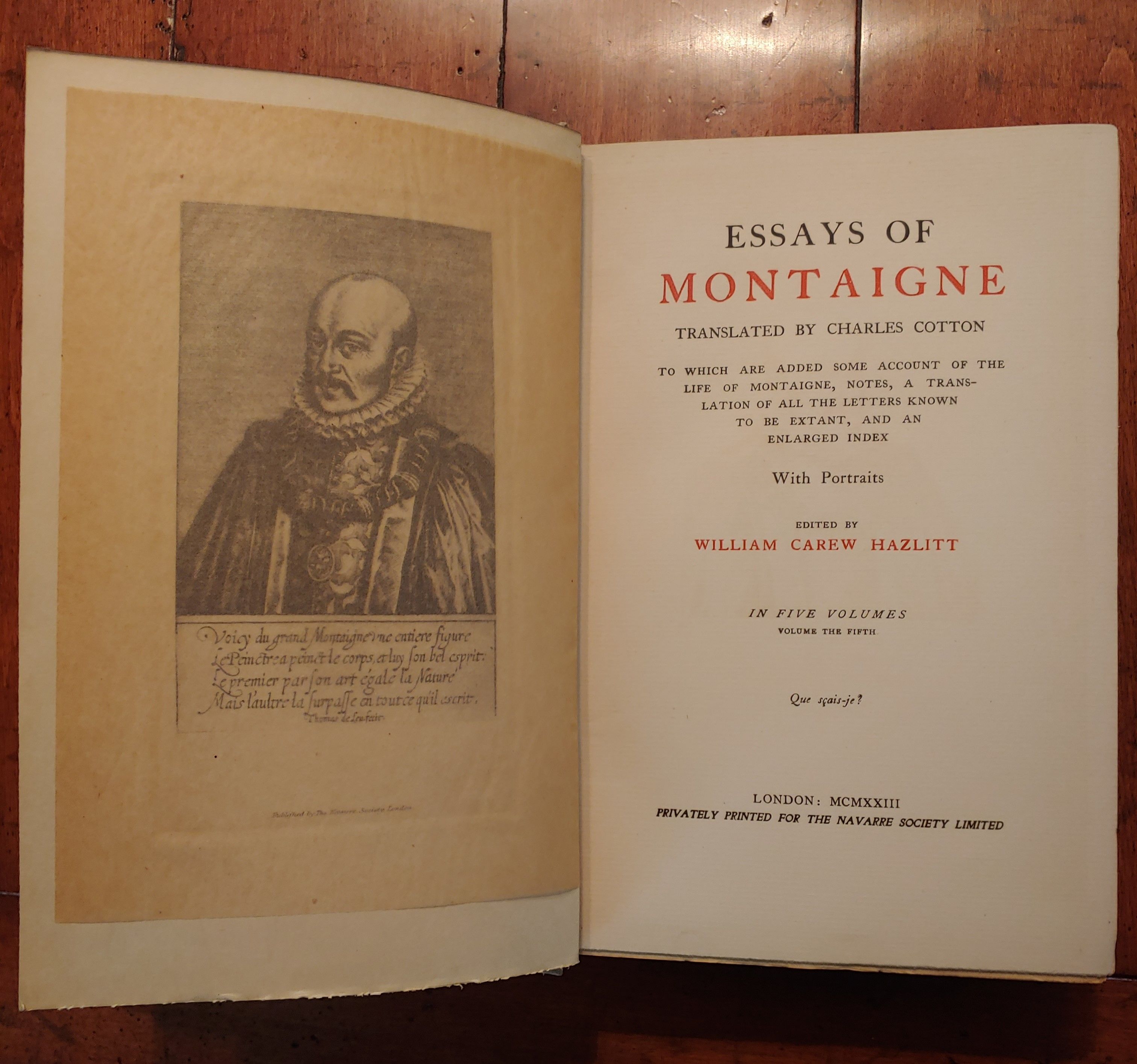 Montaigne essay summaries image