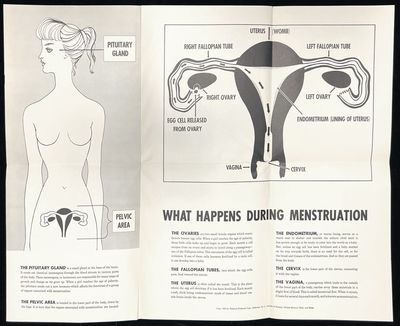 You're a Young Lady Now": Menstrual...; (photo 13)