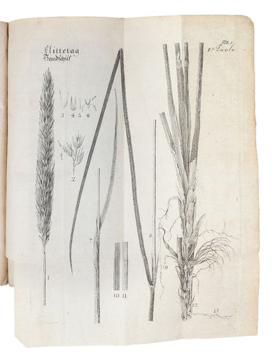 Beschreibung der Sandgewächse und ihrer Anwendung zur Hemmung des Flugsandes auf der Küste von Jütland, zum Gebrauch der Sanddünenbewohner auf Königl. Befehl herausgegeben. Aus dem Dänischen von J. Petersen. (photo 4)