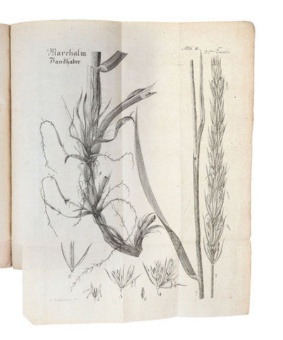 Beschreibung der Sandgewächse und ihrer Anwendung zur Hemmung des Flugsandes auf der Küste von Jütland, zum Gebrauch der Sanddünenbewohner auf Königl. Befehl herausgegeben. Aus dem Dänischen von J. Petersen. (photo 5)