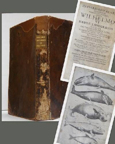 Historiæ Naturalis de Piscibus et Cetis. Libri V.…