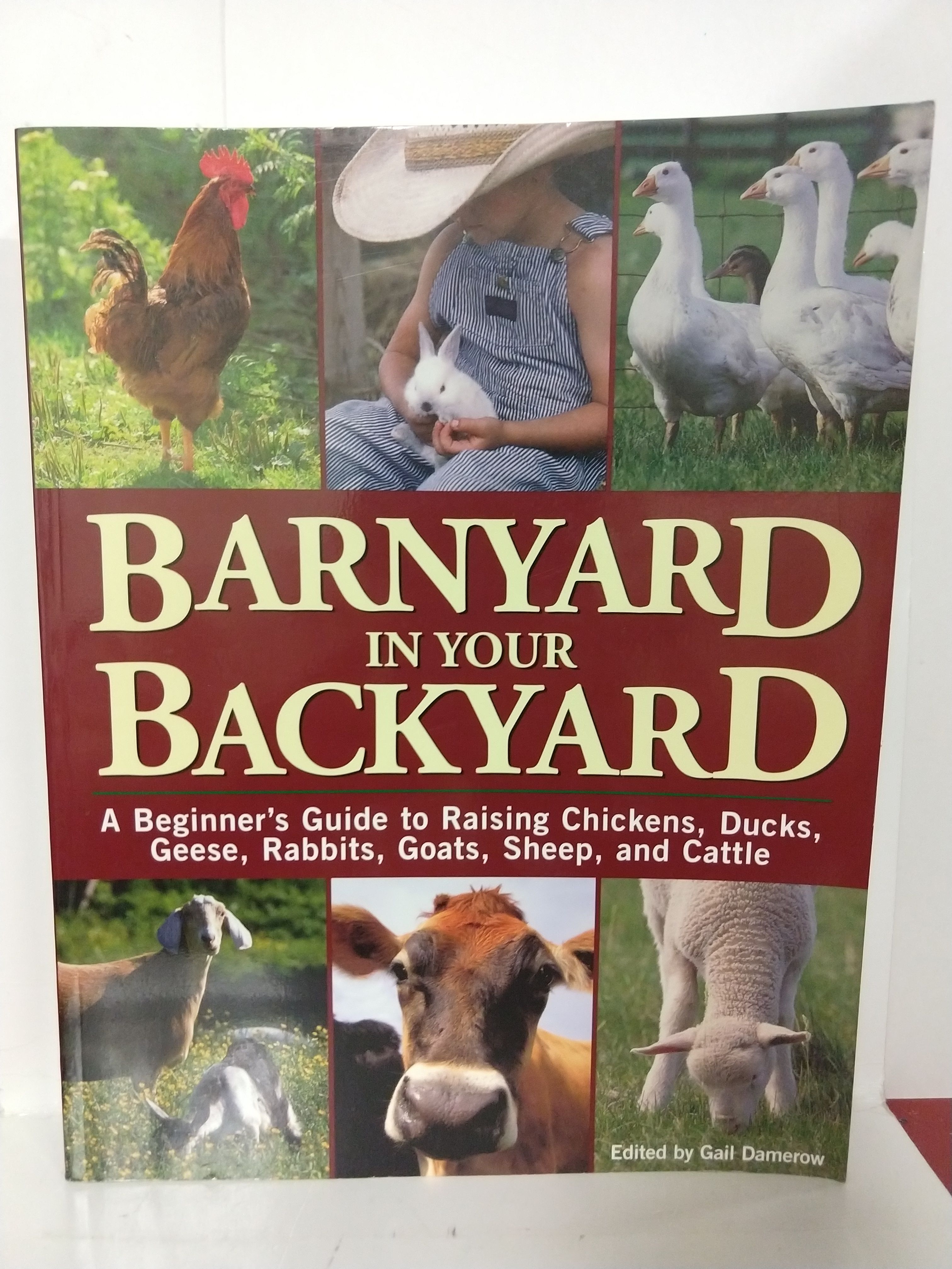 9781580174565 Barnyard In Your Backyard A Beginner S Guide To