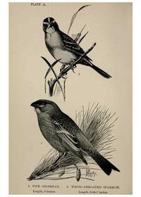 Reproducción/Reproduction 7365390552: Birdcraft :. New York :Macmillan Co.,c1897.