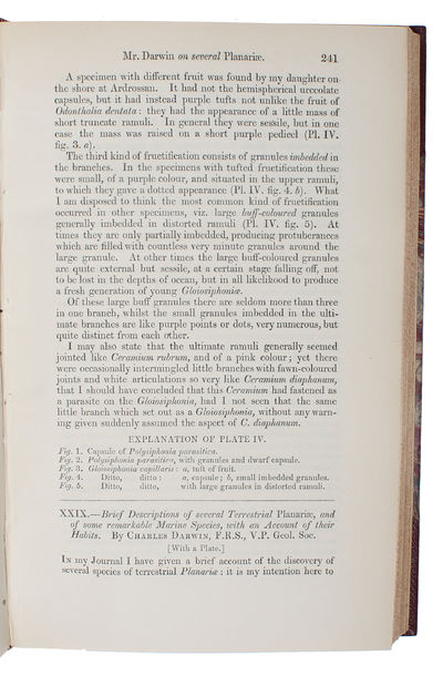 Brief Descriptions of several Terrestrial…