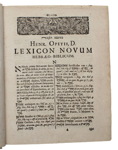 Novum lexicon hebraeo-chaldaeo-biblicum. (photo 4)