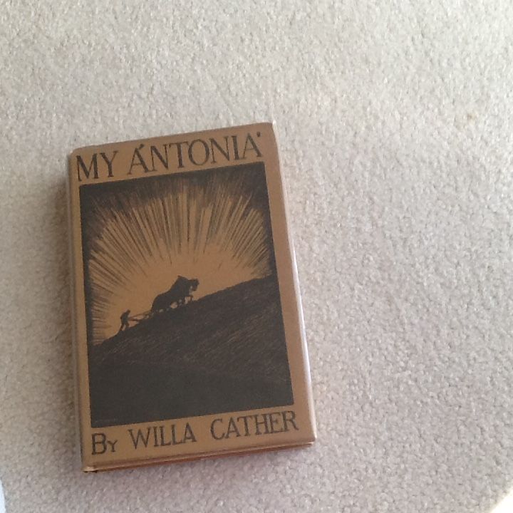 a look at different critiques of willa cathers novel my antonia 9781426467875 1426467877 my antonia, willa cather something that lasts - a novel, lowe's vintage style - gorgeous fashion for an individual look,. a look at different critiques of willa cathers novel my antonia 9781426467875 1426467877 my antonia, willa cather something that lasts - a novel, lowe's vintage style - gorgeous fashion for an individual look,.