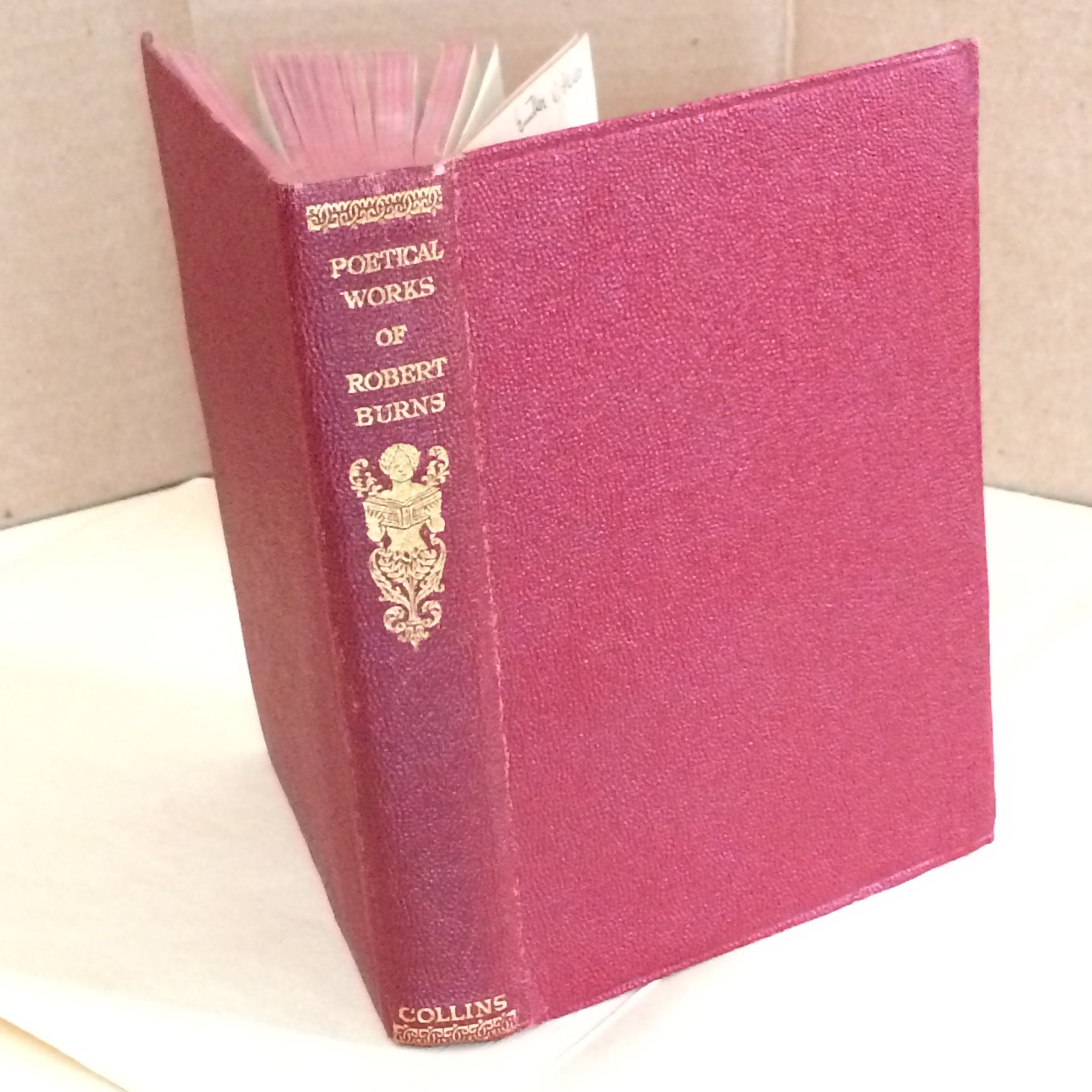 The poetical works of Robert Burns