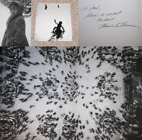 MARVIN E. NEWMAN: SEVEN PHOTO ESSAYS