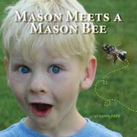 Mason Meets a Mason Bee