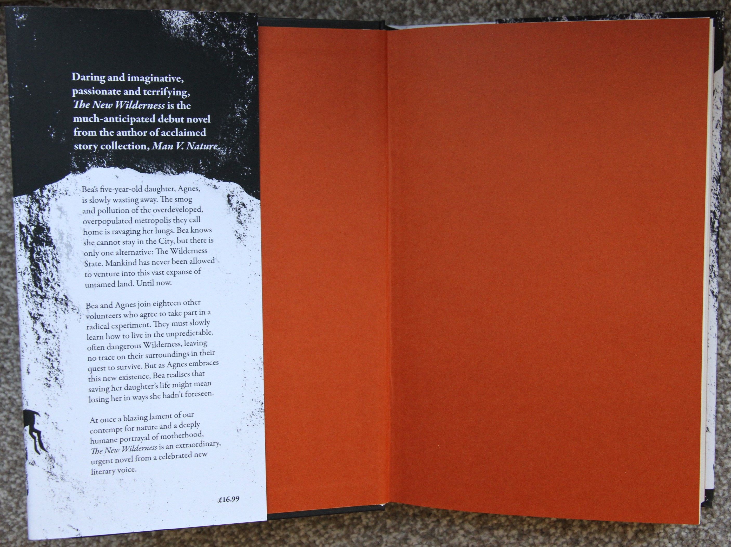 The New Wilderness Uk 1st Edition 1st Printing By Diane Cook 1st Edition 1st Printing From Itchen Books Sku 370