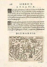 image of DITMARSIA. THIETMARSIA HOLSATICAEREG