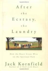 After the Ecstasy, the Laundry: How the Heart Grows Wise on the Spiritual Path
