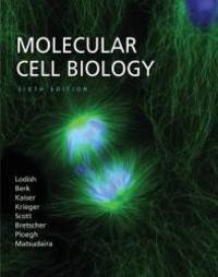 Molecular Cell Biology by Harvey Lodish - 2007-09-01