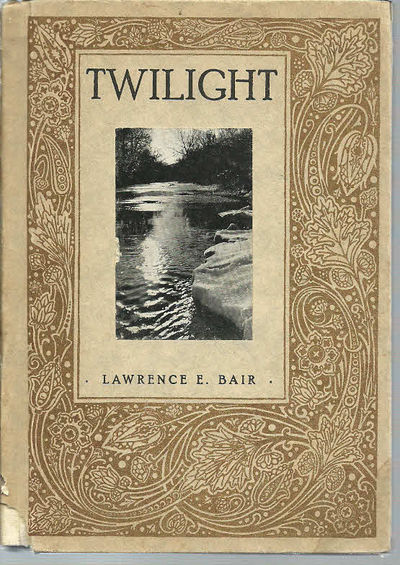 essay on the book twilight essay on the book twilight
