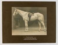 'Kappacoola' by 'Go-ahead' - Dam unknown 1905. By 'Gang Forward' from 'Rivalry' by 'Talk o'the...