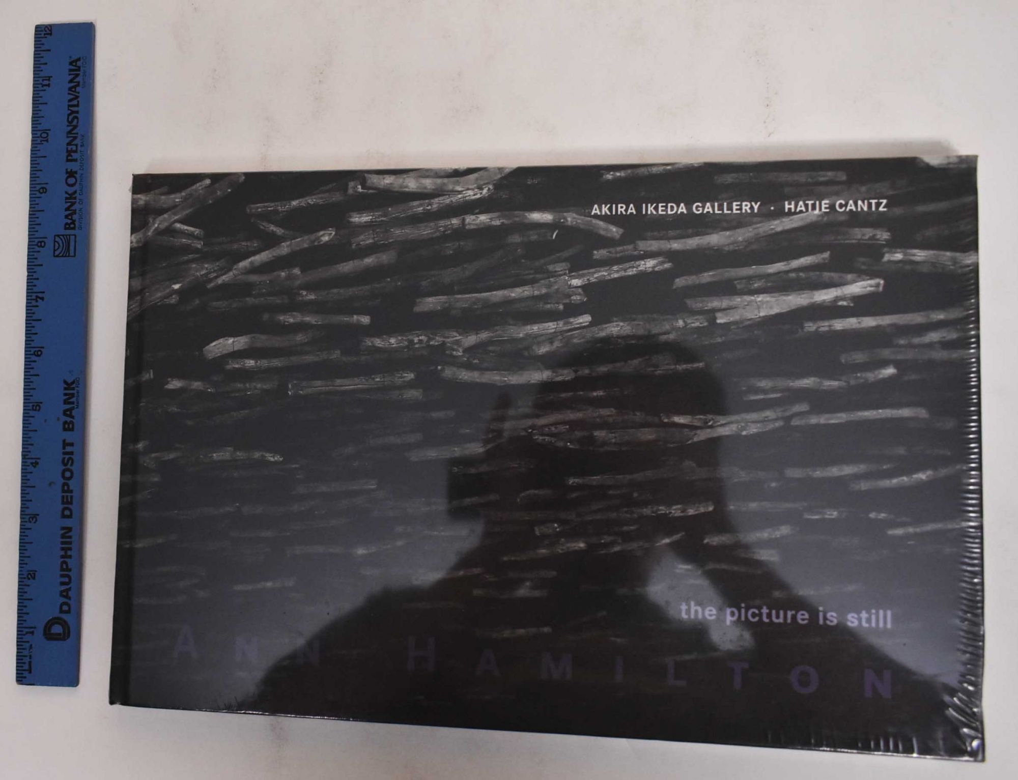 Ann Hamilton: The Picture Is Still by Geiger, Jurgen