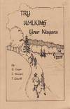 Try Walking Your Niagara