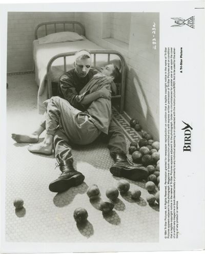 Birdy (Original photograph from the 1984 film)