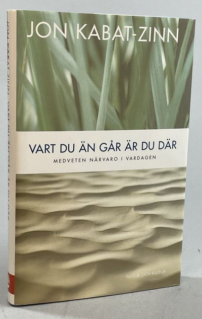 Vart du än går är du där. Medveten närvaro i…