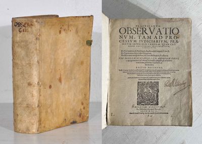 Practicarum observationum, tam ad processum…