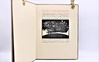 cover of DOVE AT THE WINDOWS: Last Letters of Four Quaker Martyrs