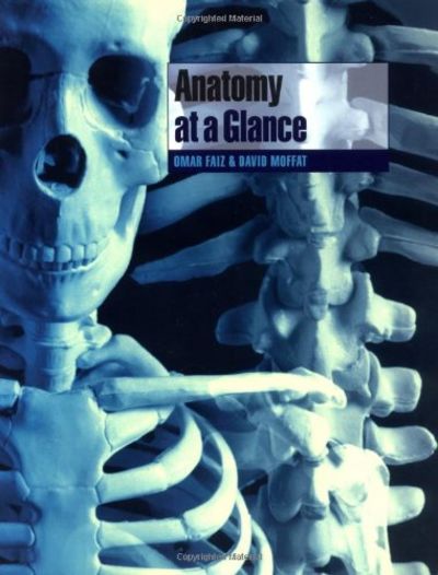 Anatomy at a Glance