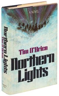 image of Northern Lights