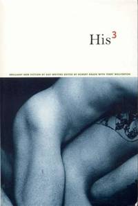 image of His 3: Brilliant New Fiction by Gay Writers
