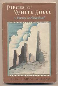 Pieces of White Shell