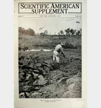 Scientific American Supplement, September 1 1917 Asphalt