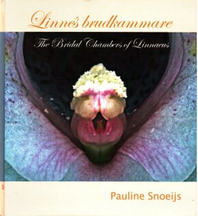 Linnés brudkammare. The Bridal Chambers of…