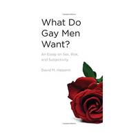 What Do Gay Men Want? – An Essay on Sex, Risk, and Subjectivity