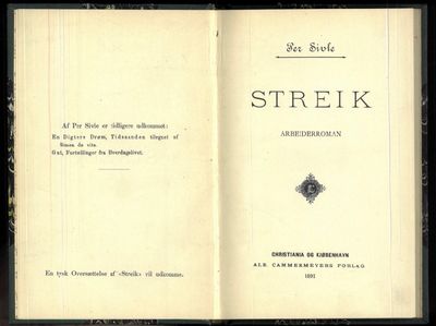 Streik. Arbeiderroman.