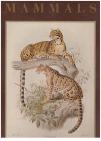 image of MAMMALS
