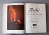 Flash!: Seeing the Unseen By Ultra High-Speed Photography
