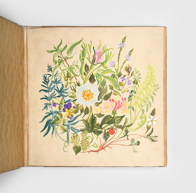 Herb Lore".