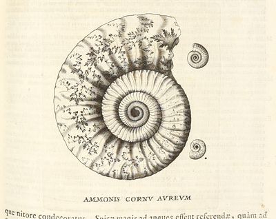 Metallotheca: opus posthumum,...; (photo 18)