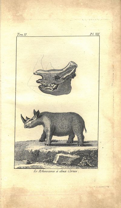 Voyage au Cap de Bonne-Esperance et autour du Monde avec le Capitaine Cook, et principalement dans les Pays des Nottentots et des Caffres. Par (...), Docteur en Médecine, de l’Académie des Sciences, et Directeur du Cabinet rpyal d’Histoire Naturelle de Stockholm. Avec Cartes, Figures et Planches en taille-douce. Traduit par M. Le Tournier. Tome premier - tome troisiéme. I-III. (photo 3)