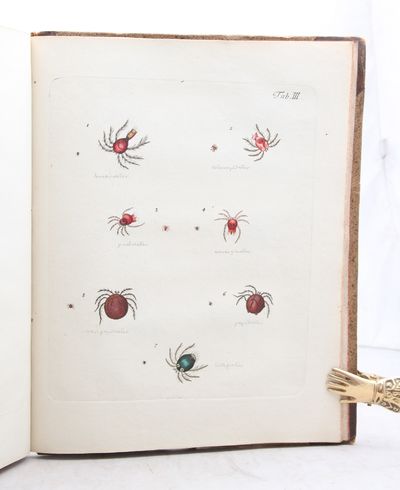 Hydrachnae, qvas in aqvis Daniae palustribus detexit, descripsit, oingi et tabulis XI aeneis incidi. (photo 2)