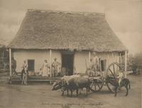 The Isle of Pines. [Promotional Photo Album]