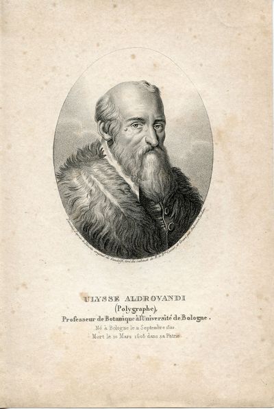 Professeur de Botanique a l'Universite de Bologne. Engraved Portrait by Ambroise Tardieu after Gandolfi
