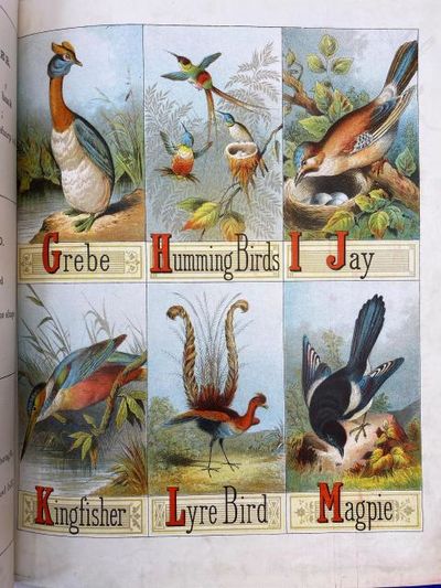 Book of Picture Alphabets. Contains: 1. Alphabet of Beasts. 3. Alphabet of Nations. 4. Scripture Alphabet. (photo 2)