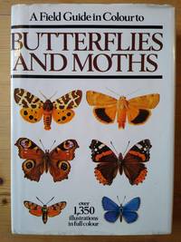 The Field Guide in Colour to Butterflies and Moths by Ivo Novak - 1985