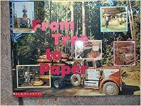 From Tree to Paper (Paperback) by Wendy Davis