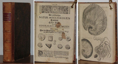 [Museum Museorum]. Der vollständigen Natur- und…